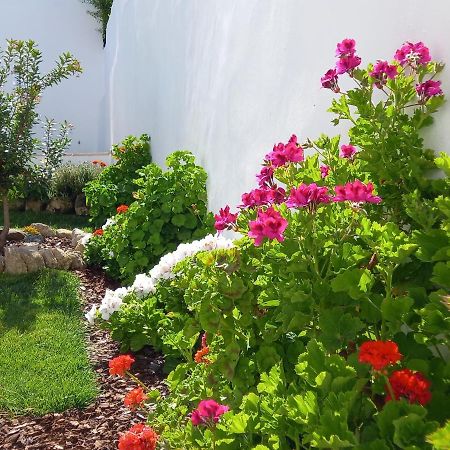 Pateo Dos Oliveira - Casa Dos Senhores Évora Extérieur photo